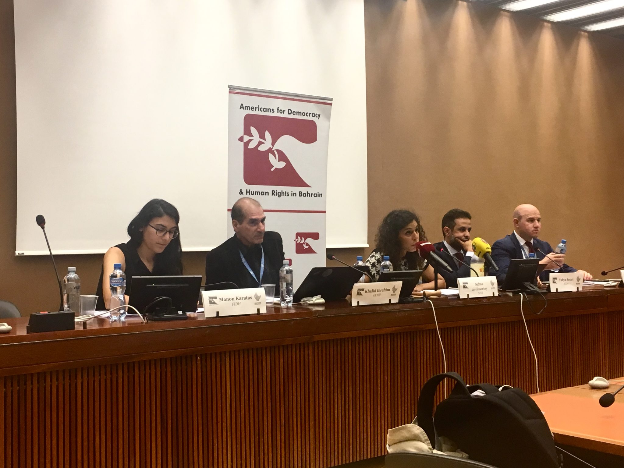 Adhrb And Gchr Side Event At Hrc 39 Discusses The Upcoming Upr Of